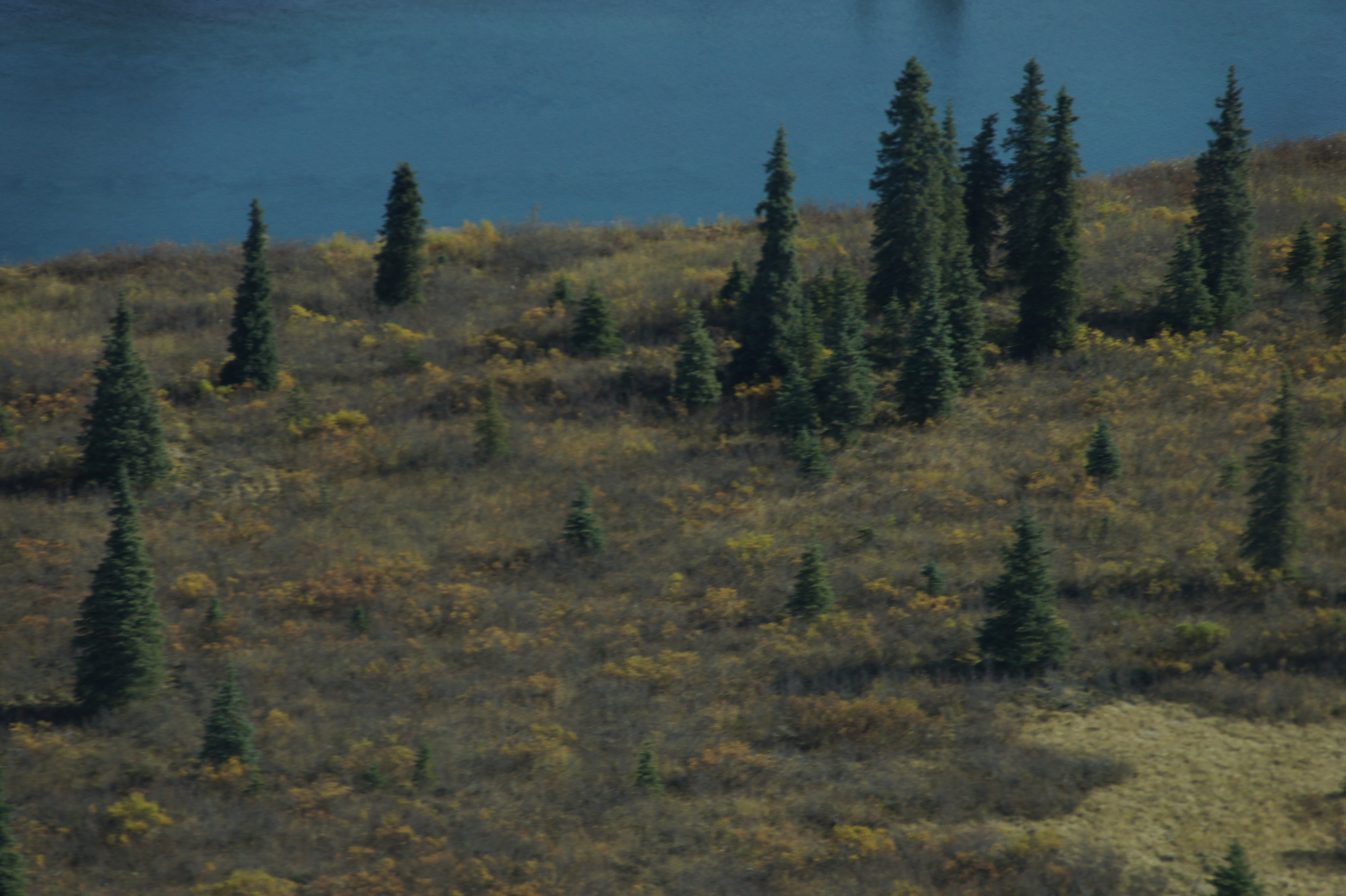 Click to return to the thumbnail index